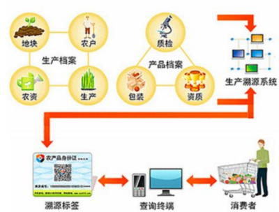 种子溯源系统的流程与技术咨询服务要点解析